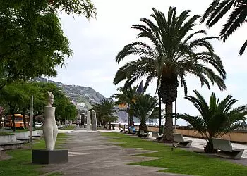 Madeira Regional