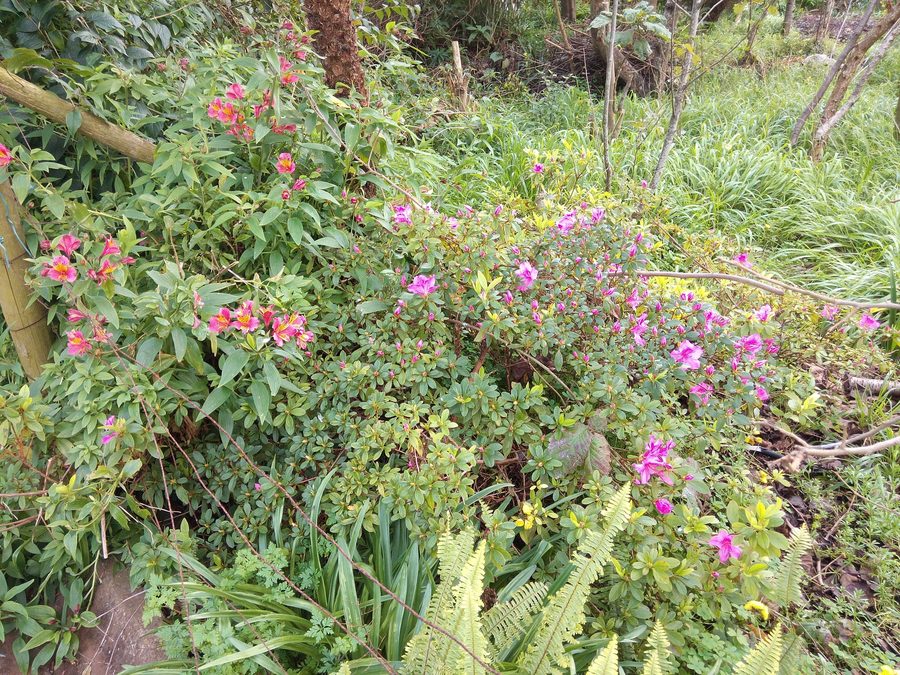 Quinta Pedagógica dos Prazeres in Calheta auf Madeira