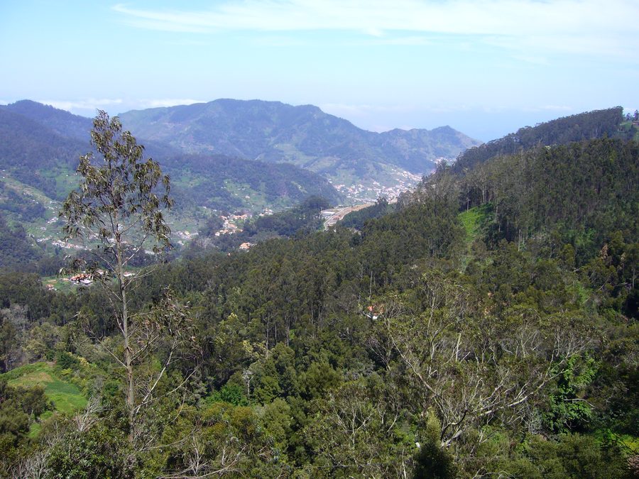 Blick von Santo António da Serra auf das Tal von Machico auf Madeira.
