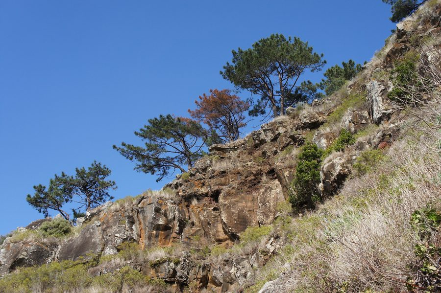 Blick vom Caminho Real do Paul do Mar nahe Prazeres auf die Küstenlandschaft Madeiras