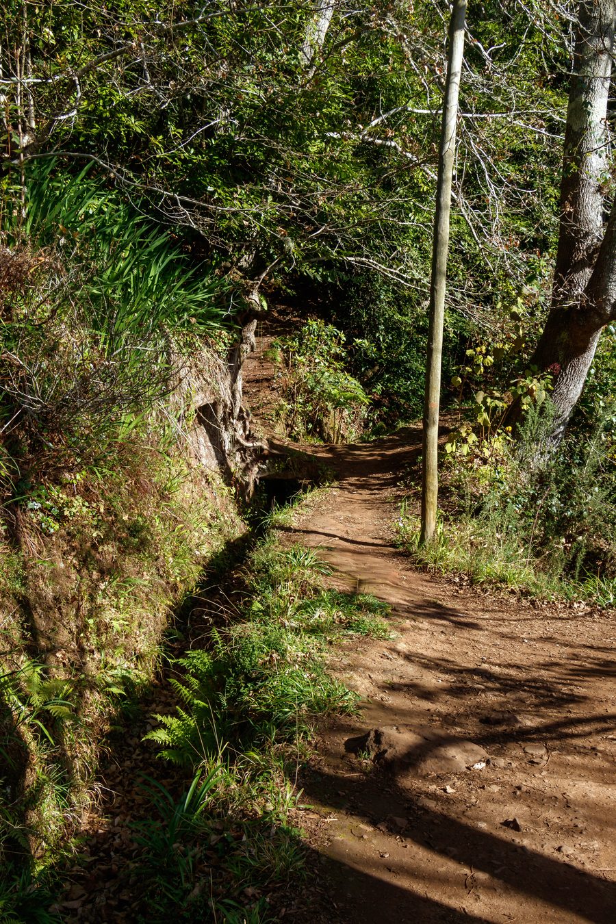 Levada da Serra do Faial in Camacha auf Madeira