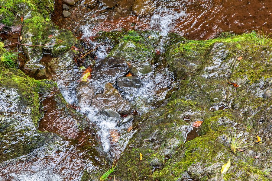 Bach Ribeiro Frio nahe der Forellenzucht auf Madeira