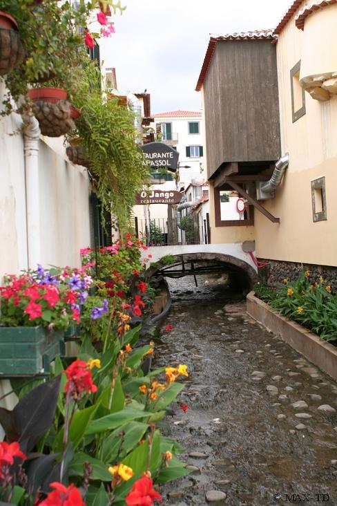 Bachlauf in Funchal