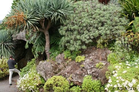 Eingangs Liebesgrotte, Botanischen Garten